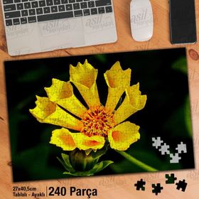 Asil Hobi Sarı Hoş Çiçek-Bitki-Doğa Yapboz-Ayak Destekli 240 Parça Puzzle