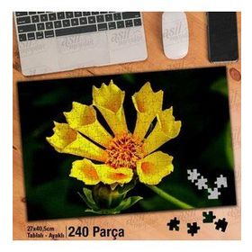 Asil Hobi Sarı Hoş Çiçek-Bitki-Doğa Yapboz-Ayak Destekli 240 Parça Puzzle