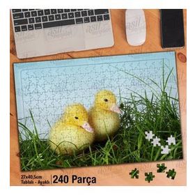 Asil Hobi Sarı Ördek Yavruları-Çimen Yapboz-Ayak Destekli Çerçeveli 240 Parça Puzzle
