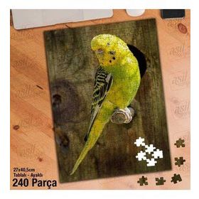 Asil Hobi Sarı-Yeşil-Muhabbet Kuşu-Hayvan Yapboz-Ayak Destekli Çerçeveli 240 Parça Puzzle