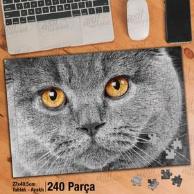 Asil Hobi Scottish Fold-Gri Tüylü Sevimli Kedi Yapboz-Ayak Destekli Çerçeveli 240 Parça Puzzle