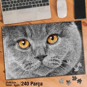 Asil Hobi Scottish Fold-Gri Tüylü Sevimli Kedi Yapboz-Ayak Destekli Çerçeveli 240 Parça Puzzle