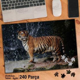 Asil Hobi Şelale-Kaplan-Doğa-Amazon-Vahşi Hayvan Yapboz-Ayak Destekli Çerçeveli 240 Parça Puzzle