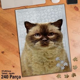Asil Hobi Sevimli Karışık Renkli Kedi-Doğa-Cat Yapboz-Ayak Destekli Çerçeveli 240 Parça Puzzle