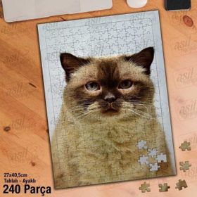 Asil Hobi Sevimli Karışık Renkli Kedi-Doğa-Cat Yapboz-Ayak Destekli Çerçeveli 240 Parça Puzzle