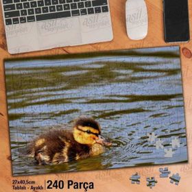 Asil Hobi Sevimli Küçük Ördek Yavrusu-Göl-Hayvan Yapboz-Ayak Destekli Çerçeveli 240 Parça Puzzle