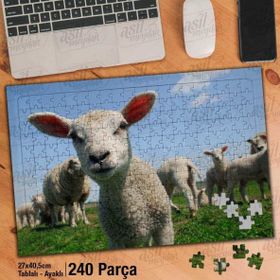 Asil Hobi Sevimli Kuzucuk-Doğa-Hayvanlar Yapboz-Ayak Destekli Çerçeveli 240 Parça Puzzle