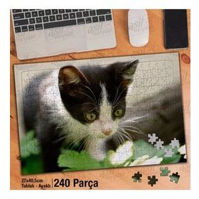 Asil Hobi Sevimli Yavru Kedi-Hayvan-Tabiat Yapboz-Ayak Destekli Çerçeveli 240 Parça Puzzle