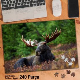 Asil Hobi Siyah Geyik-Vahşi Hayvan-Doğa Yapboz-Ayak Destekli Çerçeveli 240 Parça Puzzle