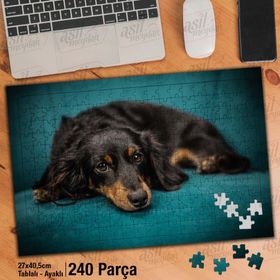 Asil Hobi Siyah Kahve Renkli Sevimli Yatan Köpek Yapboz-Ayak Destekli Çerçeveli 240 Parça Puzzle
