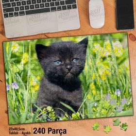 Asil Hobi Siyah Tüylü Mavi Gözlü Yavru Kedi-Hayvan Yapboz-Ayak Destekli Çerçeveli 240 Parça Puzzle