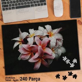 Asil Hobi Siyah Zeminde Pembe Beyaz Çiçek-Yasemin Yapboz-Ayak Destekli Çerçeveli 240 Parça Puzzle