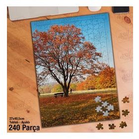Asil Hobi Sonbahar-Sararmış Yapraklar-Ağaç-Doğa-Yapboz-Ayak Destekli 240 Parça Puzzle