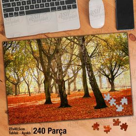 Asil Hobi Sonbahar-Yaprakları Dökülen Ağaçlar-Orman-Yapboz-Ayak Destekli 240 Parça Puzzle