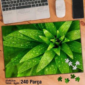Asil Hobi Su Damlaları-Yeşil Bitki-Çiçek-Doğa Yapboz-Ayak Destekli Çerçeveli 240 Parça Puzzle