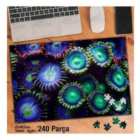 Asil Hobi Sualtı Canlıları-Deniz-Okyanus-Tabiat Yapboz-Ayak Destekli Çerçeveli 240 Parça Puzzle