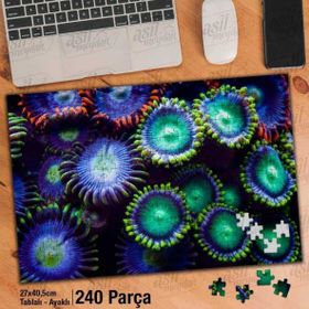 Asil Hobi Sualtı Canlıları-Deniz-Okyanus-Tabiat Yapboz-Ayak Destekli Çerçeveli 240 Parça Puzzle
