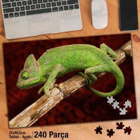 Asil Hobi Sürüngen-Bukalemun-Vahşi Yaşam-Hayvan Yapboz-Ayak Destekli Çerçeveli 240 Parça Puzzle