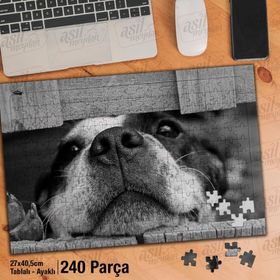 Asil Hobi Tahta Arasından Bakan Sevimli Köpek Yapboz-Ayak Destekli Çerçeveli 240 Parça Puzzle