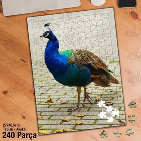 Asil Hobi Tavus Kuşu-Doğa-Hayvan Yapboz-Ayak Destekli Çerçeveli 240 Parça Puzzle