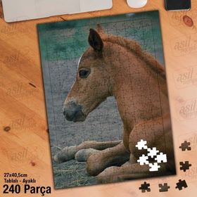 Asil Hobi Tay-At-Vahşi Hayvan Yapboz-Ayak Destekli Çerçeveli 240 Parça Puzzle