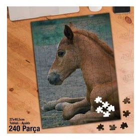 Asil Hobi Tay-At-Vahşi Hayvan Yapboz-Ayak Destekli Çerçeveli 240 Parça Puzzle