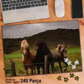 Asil Hobi Tay Midilli-At-Vahşi Hayvan-Doğa Yapboz-Ayak Destekli Çerçeveli 240 Parça Puzzle