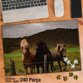 Asil Hobi Tay Midilli-At-Vahşi Hayvan-Doğa Yapboz-Ayak Destekli Çerçeveli 240 Parça Puzzle