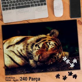 Asil Hobi Tiger-Kaplan-Vahşi Hayvan-Doğa Yapboz-Ayak Destekli Çerçeveli 240 Parça Puzzle