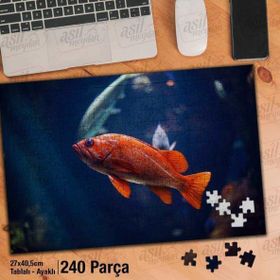 Asil Hobi Turuncu Balık-Doğa-Deniz-Okyanus Yapboz-Ayak Destekli Çerçeveli 240 Parça Puzzle