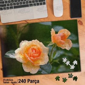 Asil Hobi Turuncu Gül-Çiçek-Bitki-Doğa Yapboz-Ayak Destekli Çerçeveli 240 Parça Puzzle