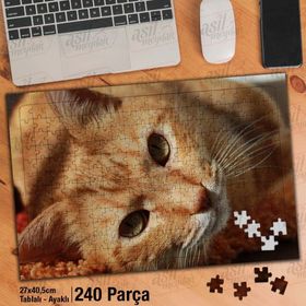 Asil Hobi Turuncu Kedicik-Masum-Sevimli Hayvan Yapboz-Ayak Destekli Çerçeveli 240 Parça Puzzle