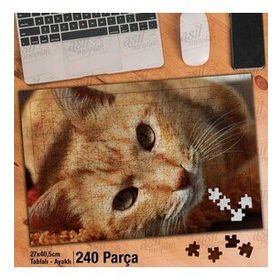 Asil Hobi Turuncu Kedicik-Masum-Sevimli Hayvan Yapboz-Ayak Destekli Çerçeveli 240 Parça Puzzle