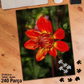 Asil Hobi Turuncu-Sarı Çiçek-Bitki-Peyzaj Yapboz-Ayak Destekli Çerçeveli 240 Parça Puzzle