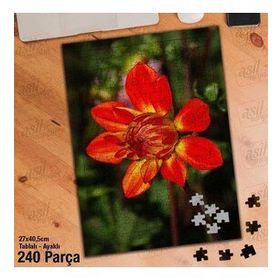 Asil Hobi Turuncu-Sarı Çiçek-Bitki-Peyzaj Yapboz-Ayak Destekli Çerçeveli 240 Parça Puzzle