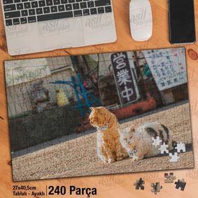 Asil Hobi Turuncu Ve Beyaz Kedi-Sevimli Hayvanlar Yapboz-Ayak Destekli Çerçeveli 240 Parça Puzzle