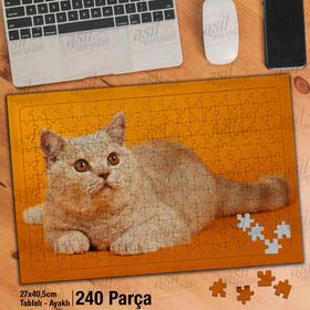 Asil Hobi Turuncu Zemin Üzerinde Sevimli Kedi-Hayvan Yapboz-Ayak Destekli Çerçeveli 240 Parça Puzzle