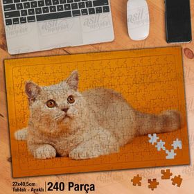 Asil Hobi Turuncu Zemin Üzerinde Sevimli Kedi-Hayvan Yapboz-Ayak Destekli Çerçeveli 240 Parça Puzzle