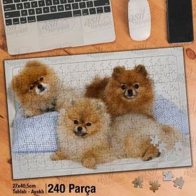 Asil Hobi Üç Sevimli Köpekler-Hayvan Yapboz-Ayak Destekli Çerçeveli 240 Parça Puzzle