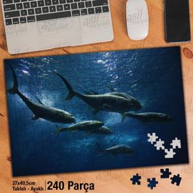 Asil Hobi Vahşi Yaşam-Pirana-Balık-Doğa-Tabiat Yapboz-Ayak Destekli Çerçeveli 240 Parça Puzzle