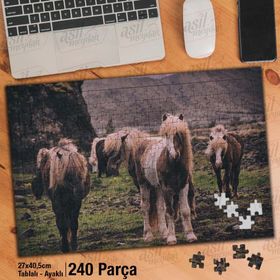 Asil Hobi Yabani Vahşi Hayvan-At-Tay-Doğa Yapboz-Ayak Destekli Çerçeveli 240 Parça Puzzle