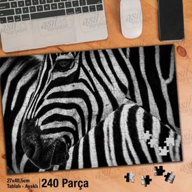 Asil Hobi Yakın Çekim Zebra-Vahşi Yaşam-Hayvan Yapboz-Ayak Destekli Çerçeveli 240 Parça Puzzle