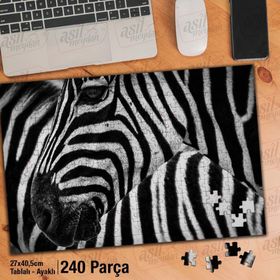 Asil Hobi Yakın Çekim Zebra-Vahşi Yaşam-Hayvan Yapboz-Ayak Destekli Çerçeveli 240 Parça Puzzle