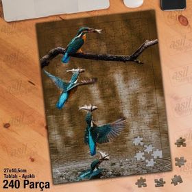 Asil Hobi Yalıçapkını-Kuş-Avlanmak-Hayvan Yapboz-Ayak Destekli Çerçeveli 240 Parça Puzzle