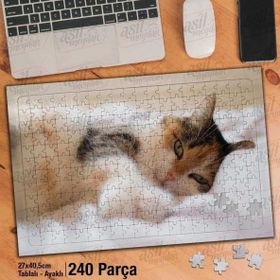 Asil Hobi Yatan Cazibeli Sevimli Kedi-Hayvan Yapboz-Ayak Destekli Çerçeveli 240 Parça Puzzle