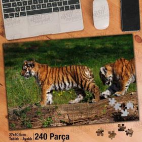 Asil Hobi Yavru Kaplan-Doğa-Hayvan-Amazon Yapboz-Ayak Destekli Çerçeveli 240 Parça Puzzle