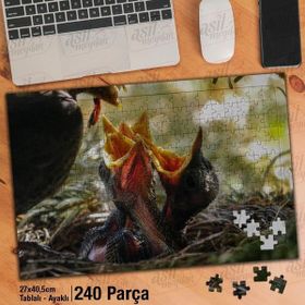 Asil Hobi Yavru Kuşlar-Yuva-Beslemek-Doğa Yapboz-Ayak Destekli Çerçeveli 240 Parça Puzzle