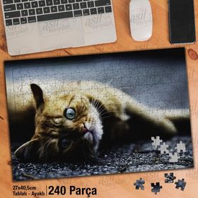 Asil Hobi Yerde Yatan Sarı Tüylü Kedi-Hayvan Yapboz-Ayak Destekli Çerçeveli 240 Parça Puzzle