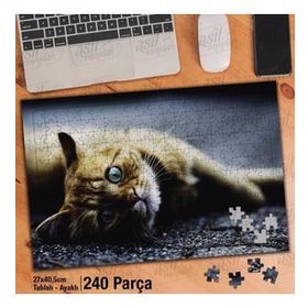 Asil Hobi Yerde Yatan Sarı Tüylü Kedi-Hayvan Yapboz-Ayak Destekli Çerçeveli 240 Parça Puzzle