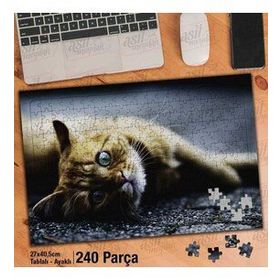 Asil Hobi Yerde Yatan Sarı Tüylü Kedi-Hayvan Yapboz-Ayak Destekli Çerçeveli 240 Parça Puzzle